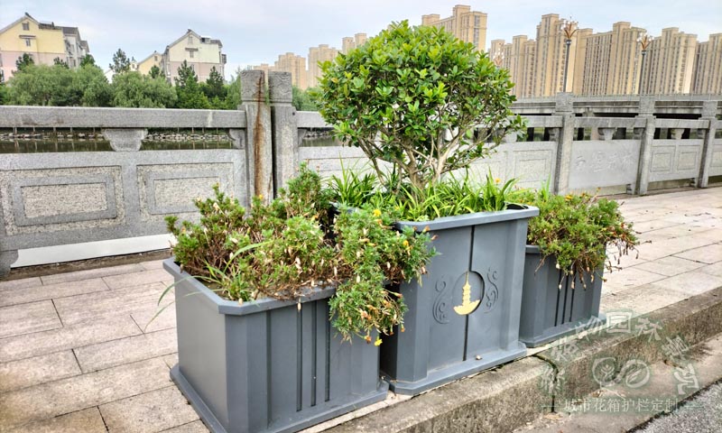 不銹鋼樹(shù)池樹(shù)圍花箱案例
